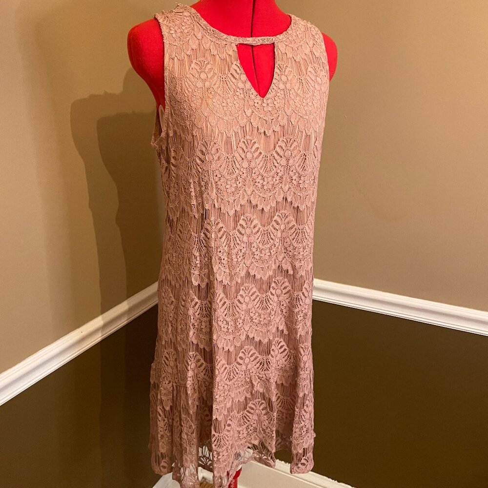 Pink Lace Shift Dress - Size Medium (1920's inspired)